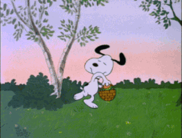 Easter Bunny Images GIF