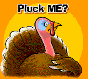 thanksgiving turkey day GIF
