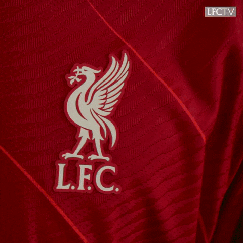Proud Premier League GIF by Liverpool FC