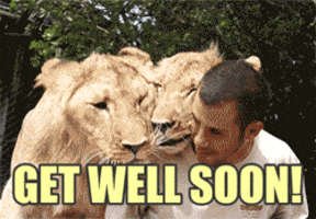 200.gif