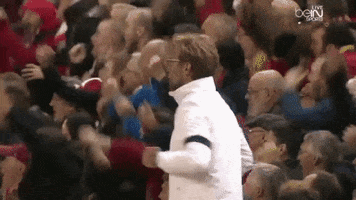 troll-football  GIF