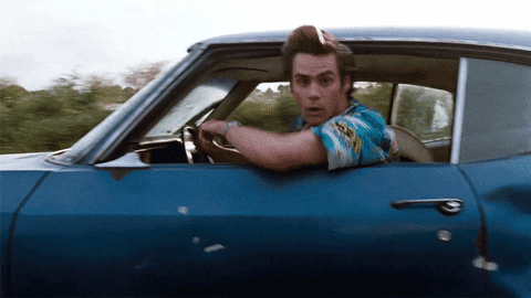 Driving Ace Ventura GIF - Find & Share on GIPHY