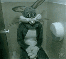 https://media3.giphy.com/media/128MIHcZlEfaSs/200.gif#21