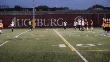 local soccer GIF by Minneapolis City SC