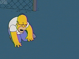 Confused Homer Simpson GIF