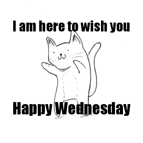 Happy Wednesday everyone!! 😺