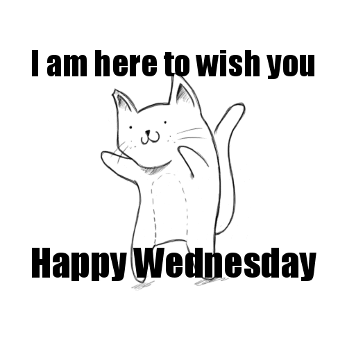 Cartoon gif. A cat dances happily, waving his paws and bobbing his head from side to side and smiling. Text, "I am here to wish you happy Wednesday."