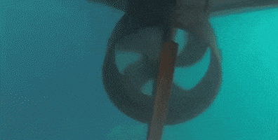 Ocean Fish GIF