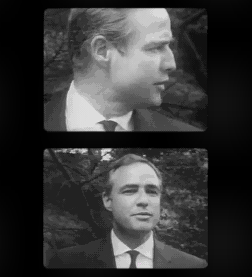 checking you out marlon brando GIF by Maudit