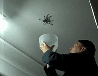 Scared Time GIF - Find & Share on GIPHY