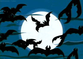 Cartoon gif. In front of a full moon in a dark sky, multiple bats fly toward us and scatter in all directions.