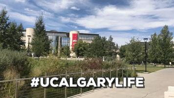 ucalgary calgary ucalgary university of calgary canadian universities GIF