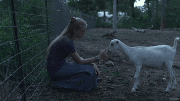 200.gif?cid=fc005b08127bcd7c3488cc8587fedb9b3085a73282d1491f&rid=200.gif&ct=g