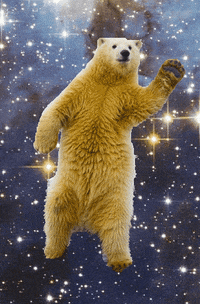 Dancing-polar-bear GIFs - Get the best GIF on GIPHY