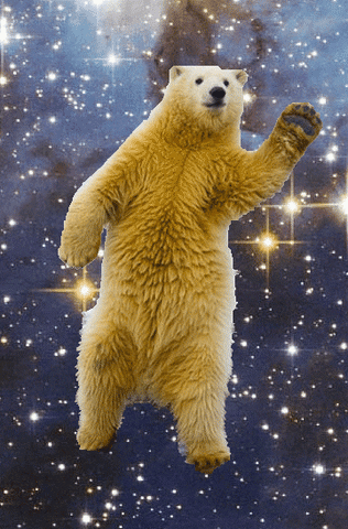 polar bear dance GIF