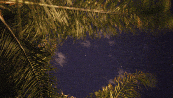 stars drums GIF by hateplow