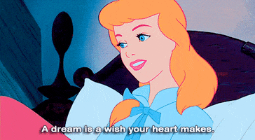 A Dream Is A Wish Your Heart Makes Gifs Get The Best Gif On Giphy