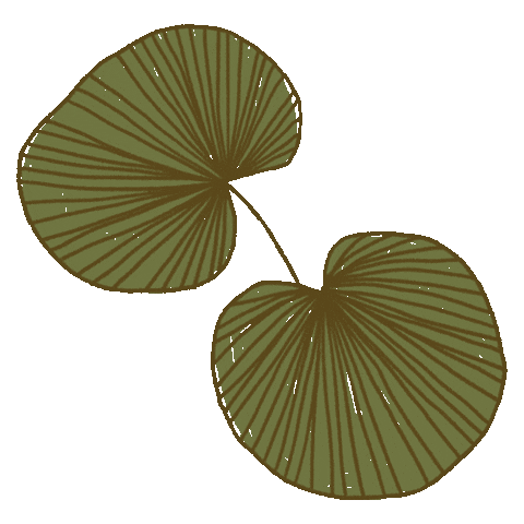 Naturaleza Sticker
