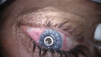 itzait  GIF