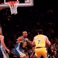 posterized los angeles lakers GIF by NBA