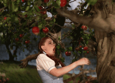 Wizard Of Oz Slapping GIF - Find & Share on GIPHY