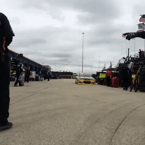 newmannation GIF by Richard Childress Racing