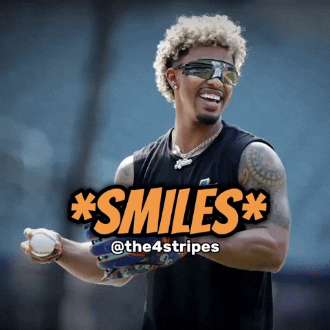 New York Mets Baseball GIF