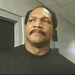 giphy.gif?cid=ecf05e47j8vzwk79g8j8swotxk