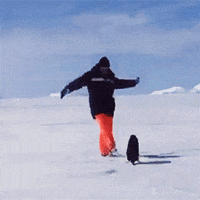 Penguin GIFs - Find & Share on GIPHY