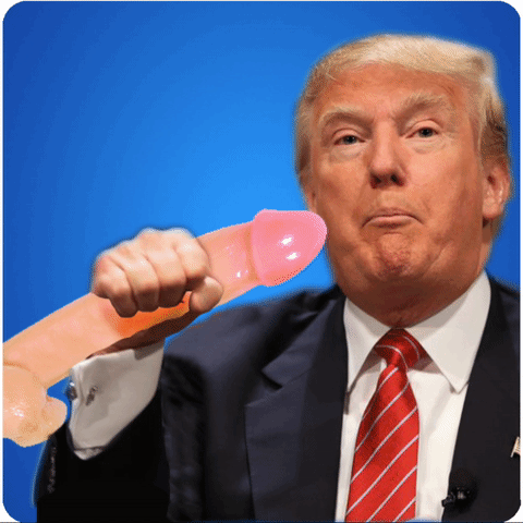 thefuckyeah trump blowjob GIF