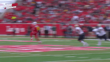 jessicaray wow houston cougars uh GIF