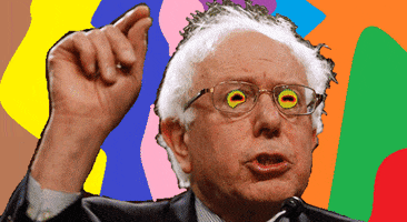 bernie sanders GIF