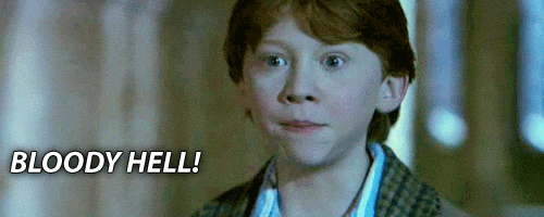 harry potter fantasy GIF