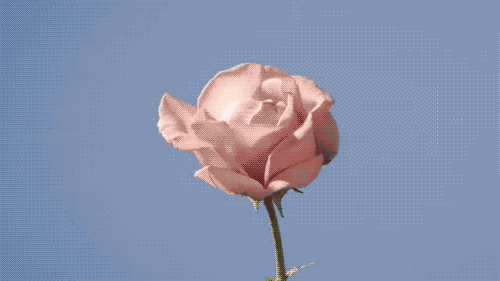 Relaxing, Healing and Soothing Nature Pics and Gifs