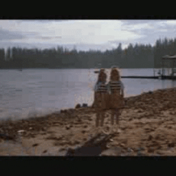 the great outdoors 80s movies GIF by absurdnoise