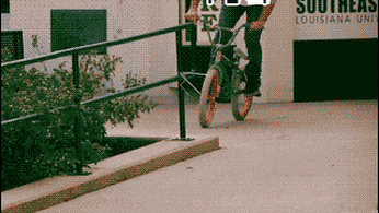 giphy.gif