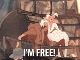 Im Free The Hunchback Of Notre Dame GIF