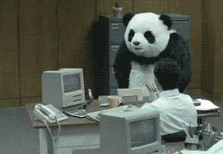giphy.gif?cid=8fc3c8975d1eff90636159376f