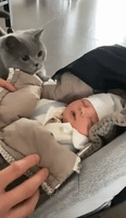 Heart-melting GIFs - Get the best GIF on GIPHY