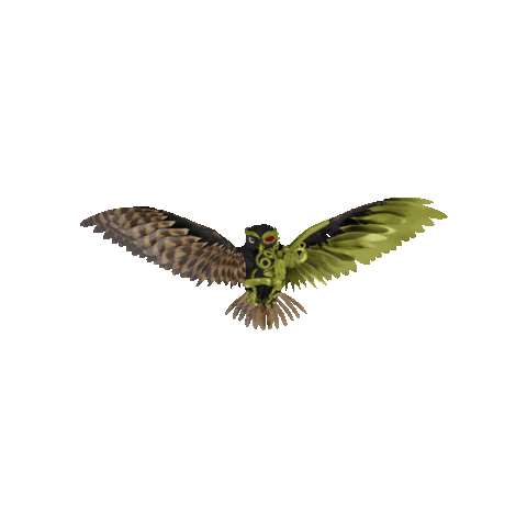 Owl Sticker