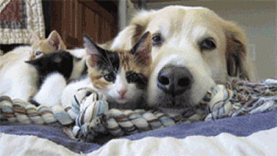 source.gif