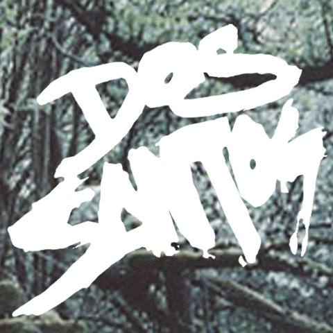 dos santos art GIF by An Educated Guess