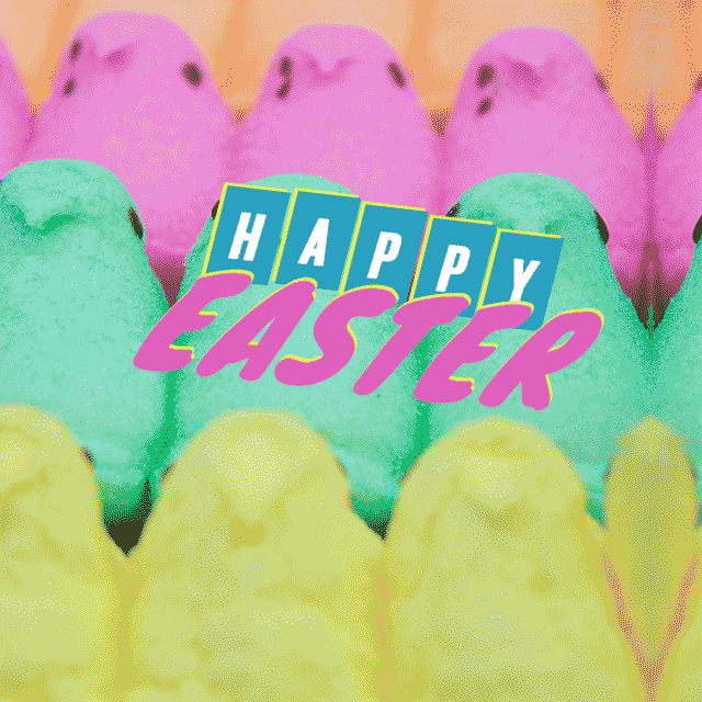 Easter Peeps GIF by mtv
