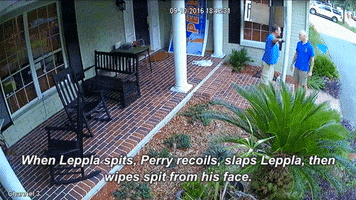 brianjburgess  GIF