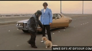 giphy.gif?cid=549b592dj9lf4nd3c8k05b3kyo8dwy6jl53pv2blnwr40my7&rid=giphy.gif&ct=g