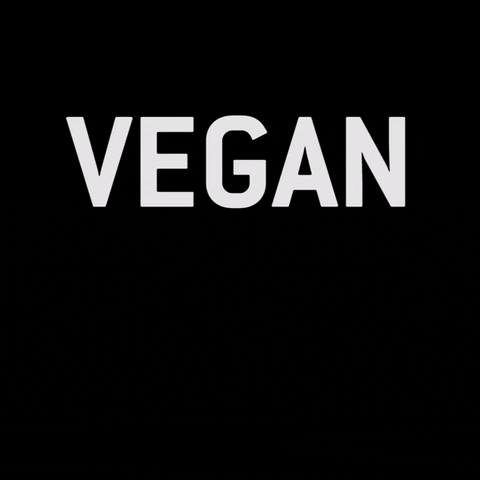 vegan veganfood GIF by What The Pitta!