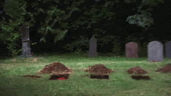 Clown Grave GIF - Find & Share on GIPHY