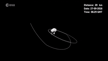 fernandocymbalukcouri  GIF