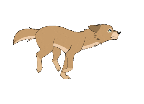 run STICKER