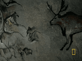 deer communication GIF by National Geographic Channel